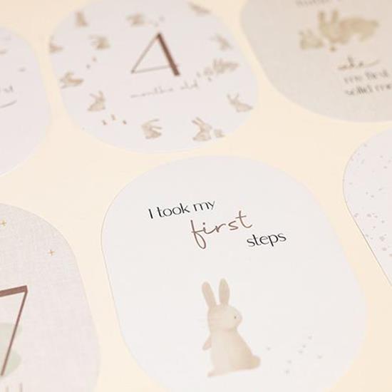 Little Dutch Baby Milestone Cards Baby Bunny