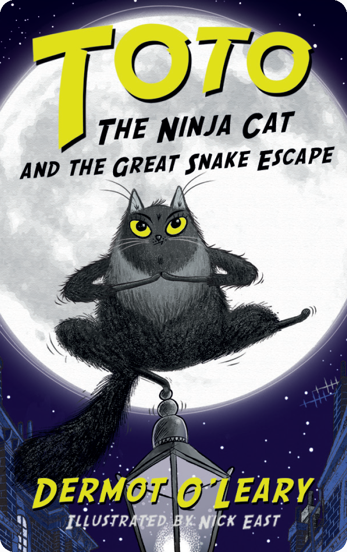 Yoto - Toto the Ninja Cat and the Great Snake Escape Audio Card