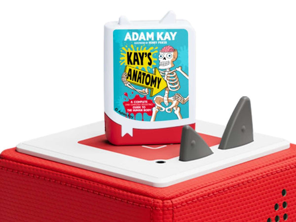 Tonies - Kay's Anatomy