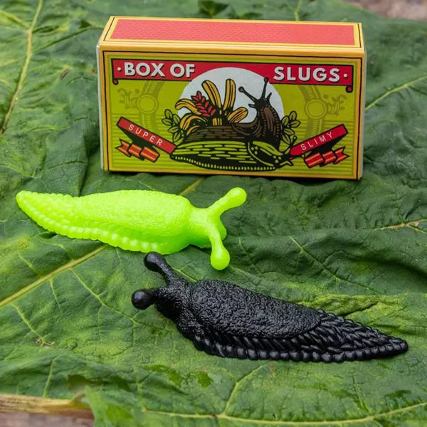 Rex London - Box of two slimy slugs