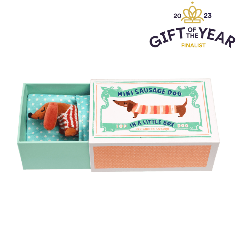 Rex London - Mini Sausage Dog In A Little Box