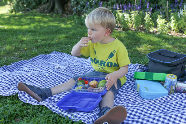Yumbox 6 Compartment Original Lunchbox - Surf Blue / Rocket Tray
