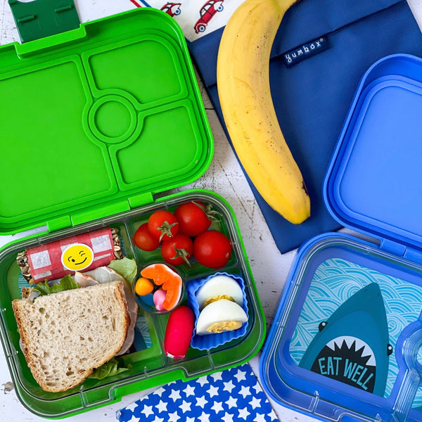 Yumbox 4 Compartment Panino Lunchbox - Jurassic Green/Dinosaur Tray