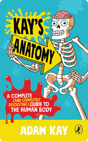 Yoto - Kay's Anatomy