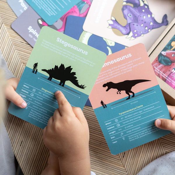 Learn Dinosaurs Flashcards - Pack of 12